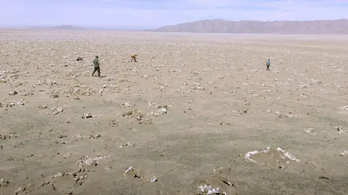Chili, les messagers invisibles du désert d'Atacama