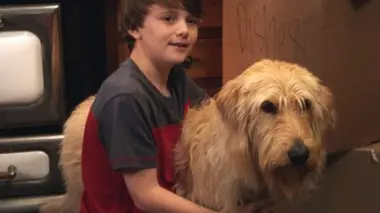 Chilly, le chien catastrophe