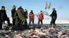 2016 • Chine : les pêcheurs de glace du lac Chagan
