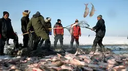 Chine : les pêcheurs de glace du lac Chagan