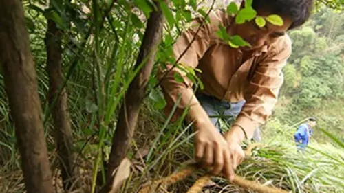 Chine secrète E01 Les chasseurs d'orchidées