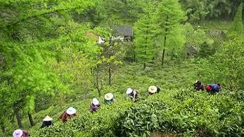 Chine secrète S01E02 Festivités et traditions