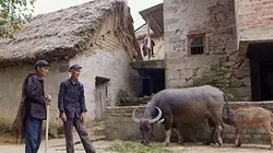 Visuel de Chine secrète