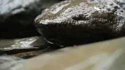 Chine, terre sauvage Les montagnes du centre