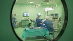 Chirurgie esthétique : nouveau corps pour une nouvelle vie Khadidja, Matthias, Nadia et Lulia