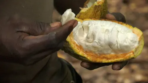 Chocolat chaud, ras le bol !