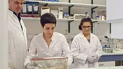 Cholestérol, le grand bluff