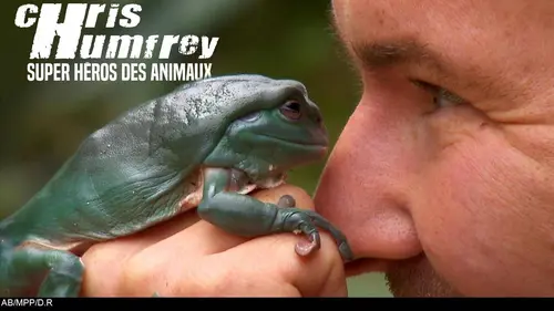 Chris Humfrey, super héros des animaux E04 Episode 4