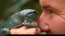 Chris Humfrey, super héros des animaux