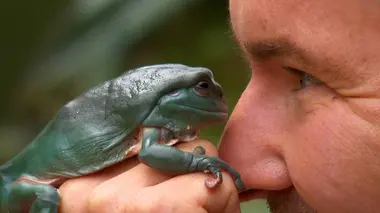 Chris Humfrey, super héros des animaux
