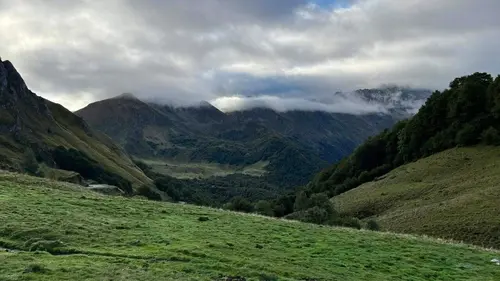 Chronique d'en haut