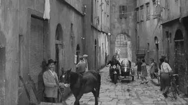 Chronique des pauvres amants