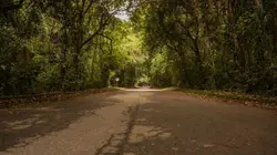 Chroniques criminelles