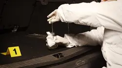 Chroniques criminelles S12E02