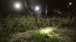 Chroniques criminelles