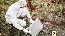 Chroniques criminelles L'affaire Anaïs Guillaume : la mort est dans le pré / Meurtres en famille