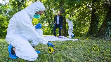 Chroniques criminelles L'affaire Jacques Métais : Le catamaran de la mort / La forêt de l'horreur