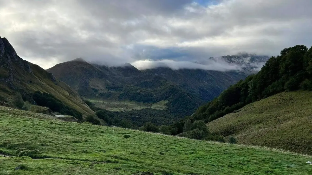 Chroniques d'en haut Véronique Jannot, la nature comme refuge