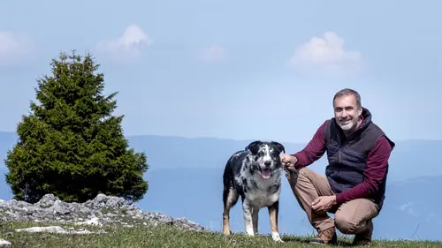 Chroniques d'en haut Le Chablais, terre d'exception