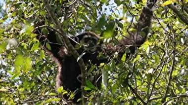 Une mère héroïque