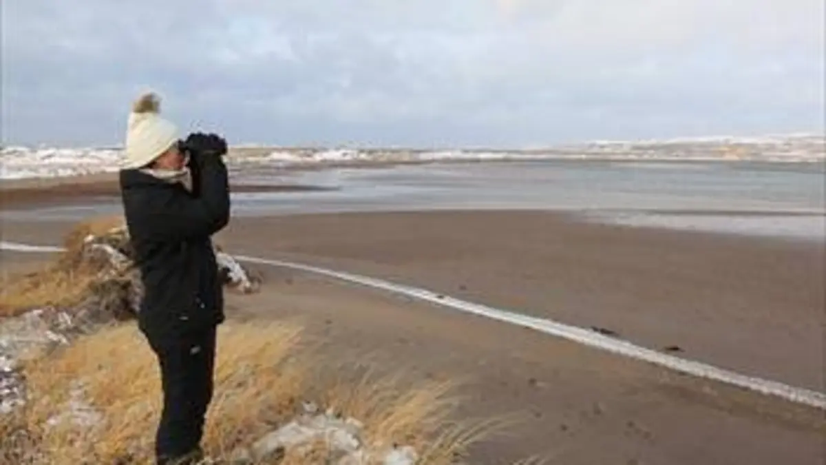 Chroniques de Saint-Pierre-et-Miquelon