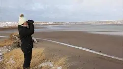 Visuel de Chroniques de Saint-Pierre-et-Miquelon