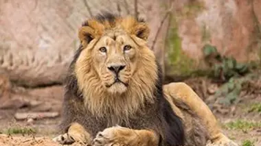 Heureux événements