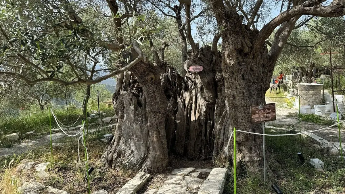 Chypre : un jardin méditerranéen