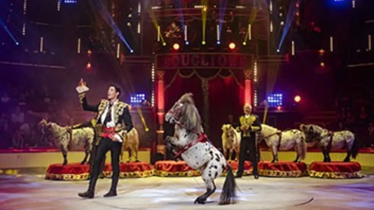 Cirque Bouglione Surprise