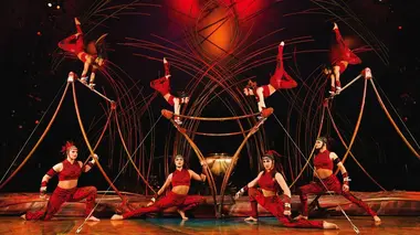 Cirque du Soleil : Amaluna