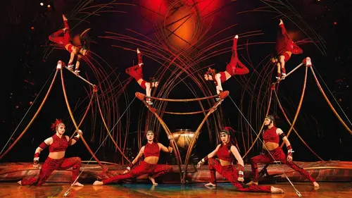 Cirque du Soleil : Amaluna