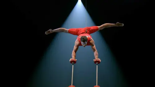 Cirque du Soleil : Best of "Balance"