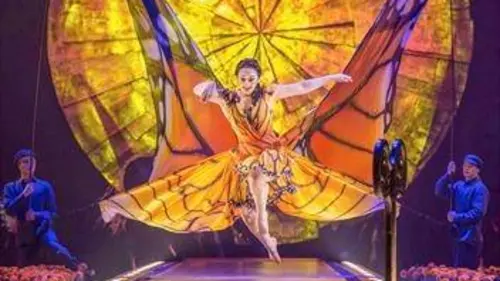 Cirque du Soleil : Luzia