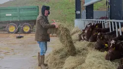 Clarkson à la ferme