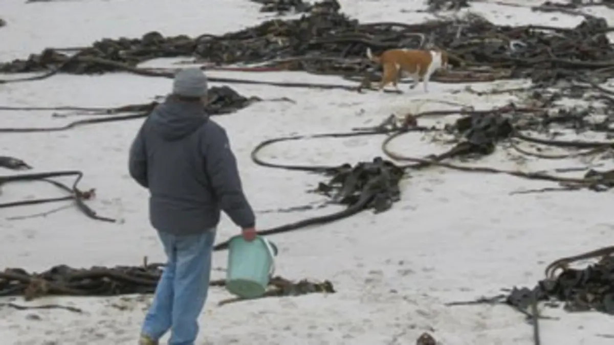 Classés sauvages S02E03 Pluie de poissons
