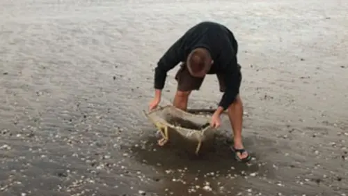 Classés sauvages S02E08 Le monstre du lac