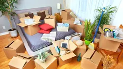 Cleaners les experts du ménage  S03E09 Gwendaline et Régis