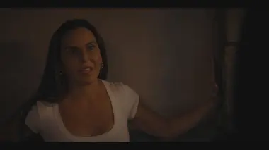 Du plomb dans l'aile