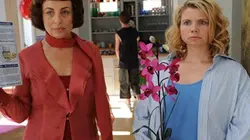 Visuel de Clics et déclics