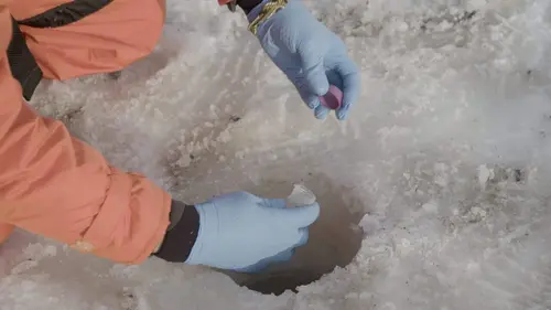 Climat déréglé, santé en danger