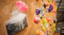 Climbing Show