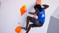 Climbing Show