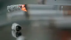 Cloper sans fumée : La nicotine revisitée