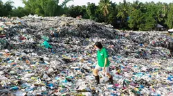 Coca-Cola, leader pollueur