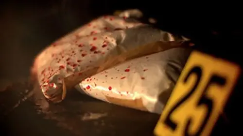 Casting Code(s) polar E02 Les lieux du crime