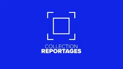 Collection Reportages