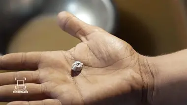 Mauritanie : l'or, le mirage du désert