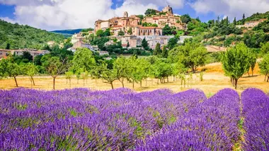 La Provence viticole