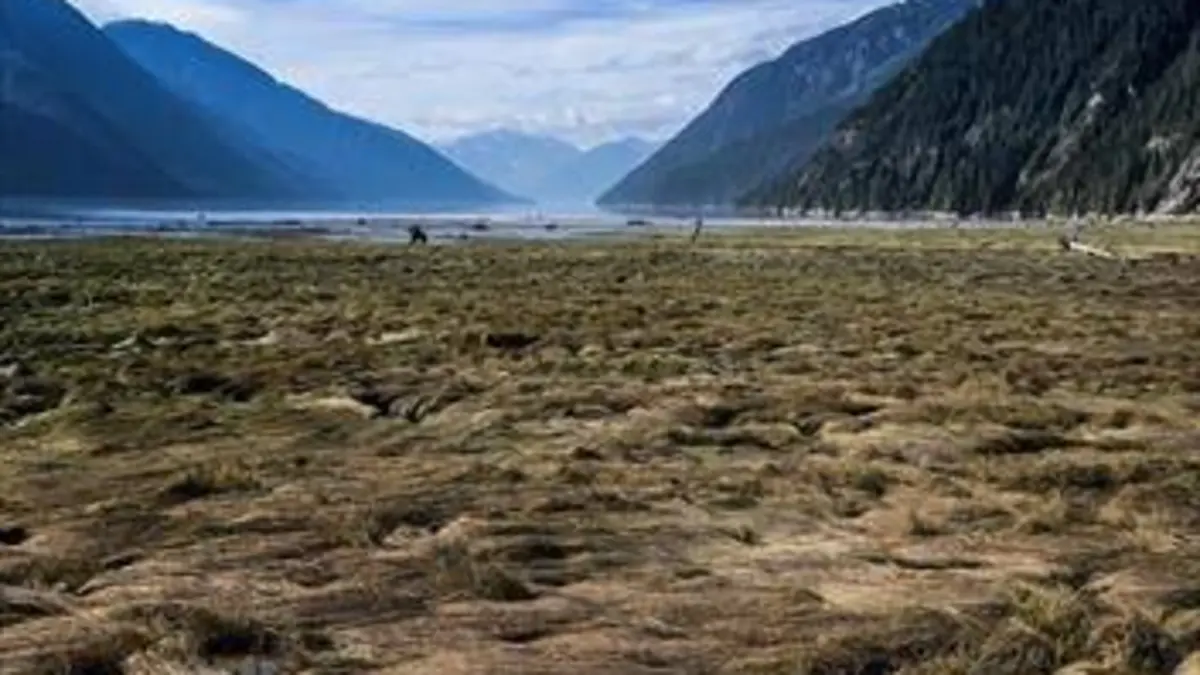 Colombie Britannique, terre sauvage à préserver