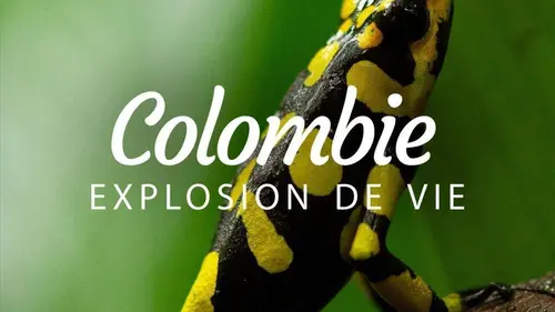 Into the Wild : Colombia S01E03 Les guerriers des Llanos